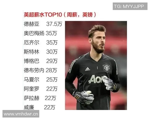 英超各队薪水排行与薪资差异对比